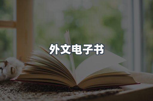 外文电子书